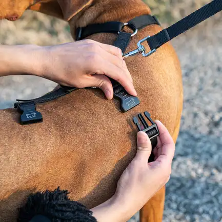 Ferplast BRAVE MEDIUM NERA PETTORINA шлея для собак чорна: додаткове фото 4