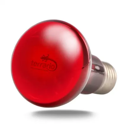 Інфрачервона нагрівальна лампа Terrario Nangola Red Night Light 50W (TR-NANGOLA-50W): додаткове фото 2