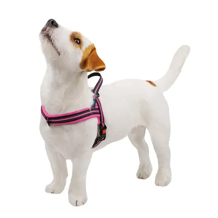 Шлея для Собак BronzeDog Mesh Скандинавська Рожева XL: додаткове фото 2
