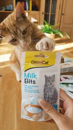 Вітамінізовані ласощі для котів GimCat MilkBits з молоком, 40 г: додаткове фото 3