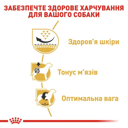 Сухий корм Royal Canin PUG ADULT для дорослих собак породи Мопс 3 кг: додаткове фото 3