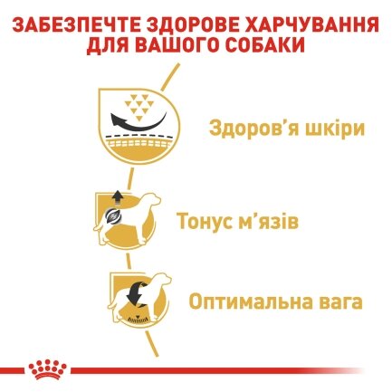 Сухий корм Royal Canin PUG ADULT для дорослих собак породи Мопс 1,5 кг — Фото 1