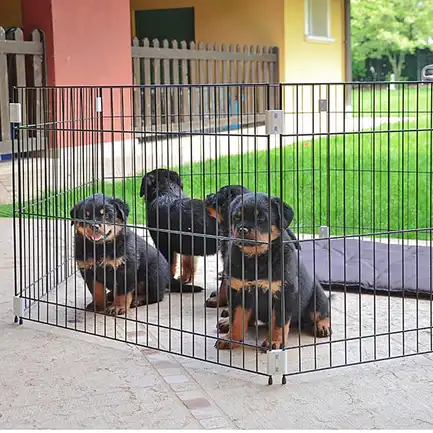 Ferplast CAGE DOG TRAINING Загін для щенят, метал: додаткове фото 5