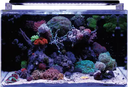 BM REEF 160 AQUARIUM (N4055505) морський акваріумний комплект