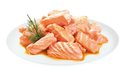 Корм вологий Brit Premium Delicate Fillets in Gravy Salmon For Sterilised для стерилізованих котів філе в соусі лосось 85 г — Фото 1