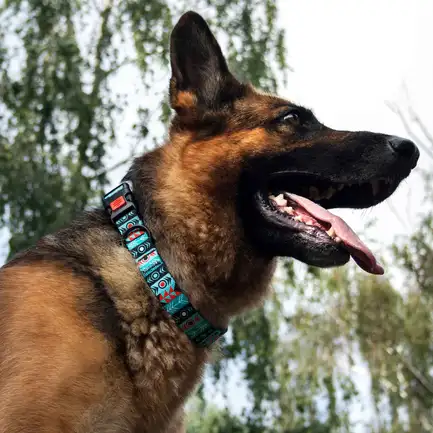Нашийник для Собак BronzeDog Urban Нейлоновий з Пластиковою Пряжкою Інки S: додаткове фото 6