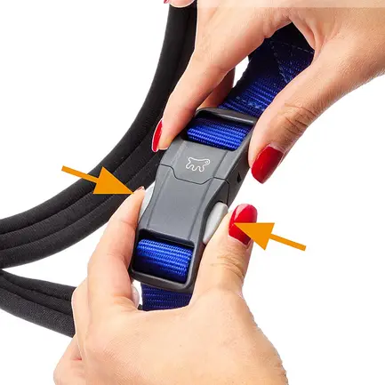 Ferplast DAYTONA CROSS XL HARNESS BLUE Шлея для собак: додаткове фото 3