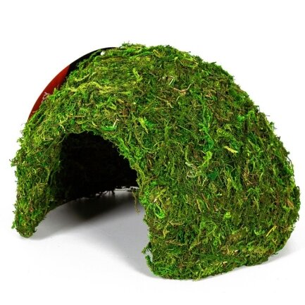 Схованка з моху Repti-Zoo Natural Mossy Dome M 14x10,5 (ERS25M)