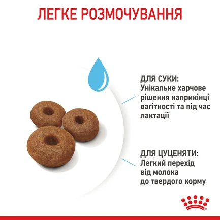 Сухий корм Royal Canin MAXI STARTER для дорослих собак великих порід 4 кг: додаткове фото 6