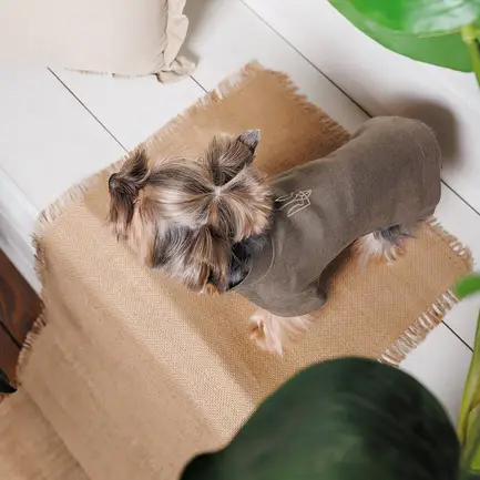 Вишиванка Pet Fashion «Marco» для собак, розмір XXS, льняна: додаткове фото 3