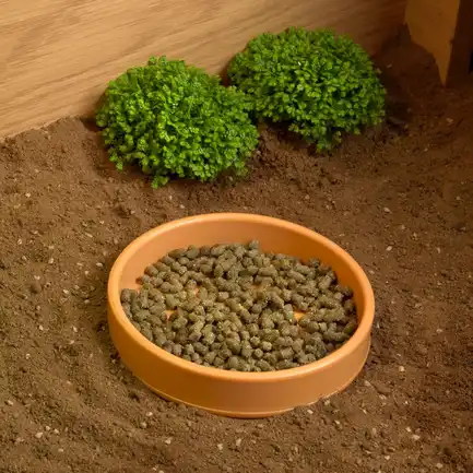 Тераріумний стартовий набір HABISTAT TORTOISE TABLE ACCESSORY KIT (R1100025): додаткове фото 7