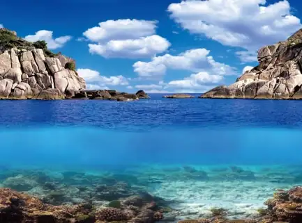 Акваріумний задній фон Aqua Nova Рослини/Океан 150x60см (PLANTS/OCEAN XL): додаткове фото 4