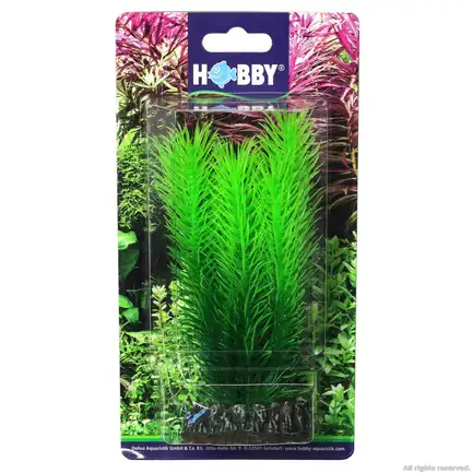 Штучна рослина Hobby Mayaca 16см (51585): додаткове фото 2