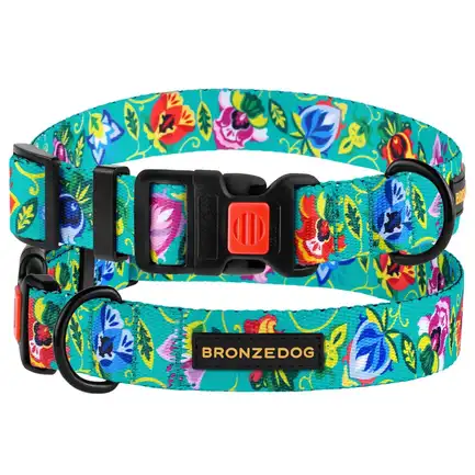 Нашийник для собак BronzeDog Urban Folk нейлоновий з пластиковою пряжкою ментоловий L