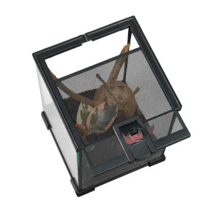 Тераріум HABISTAT MINI GLASS TERRARIUM 20 X 20 X 30CM BUILT (R1100050): додаткове фото 2