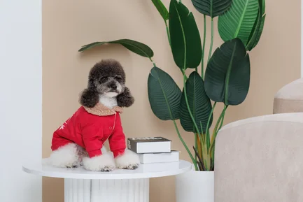 Кардиган Pet Fashion Garcia для собак розмір M: додаткове фото 8