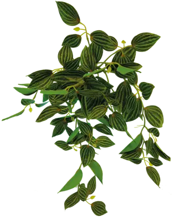 REPTO PLANT HANGING GREEN 46CM (R5100415) Штучна рослина для тераріума