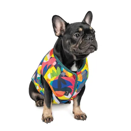 Жилет Pet Fashion «Spring» для собак, розмір XS2, принт: додаткове фото 2