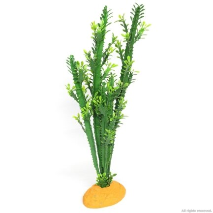 Штучна рослина кактус Hobby Euphorbia L 25x10x49см (37000) — Фото 1