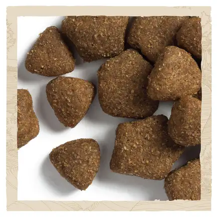 Сухий корм DOG CHOW Large Breed Adult 2+ для дорослих собак великих порід з індичкою 14 кг: додаткове фото 10