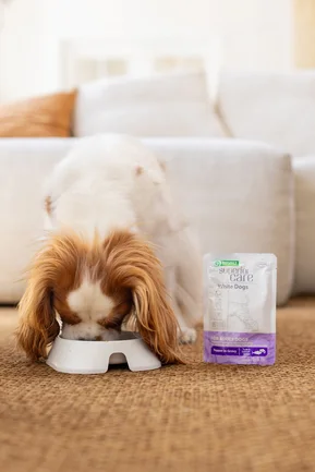 Nature's Protection Superior Care White Dogs Adult Tuna & Salmon Додатковий вологий корм для собак з білим забарвленням з тунцем і лососем, 70 г: додаткове фото 3