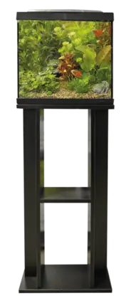 Підставка для акваріума SF Start Series Stand 20/30 BLACK (A4051010)