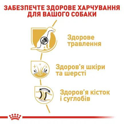 Сухий корм Royal Canin GERMAN SHEPHERD ADULT для дорослих собак породи Німецька вівчарка 11 кг: додаткове фото 3