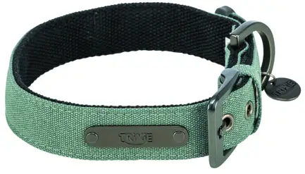 Нашийник Trixie CityStyle екстраширокий для собак бавовна L–XL 50–57 см 35 мм світло-зелений: додаткове фото 3