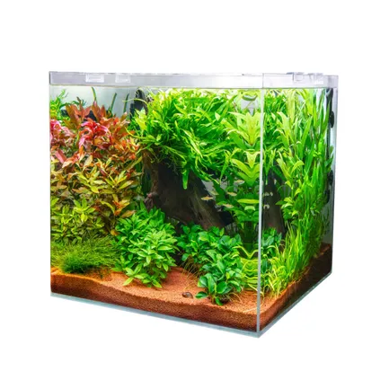 Акваріум з ультрабілого скла Dupla Scaping Cube 10 20x20x30см (80890): додаткове фото 5