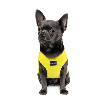 Борцівка Pet Fashion «Puppy» для собак, розмір XS2, жовта: додаткове фото 3