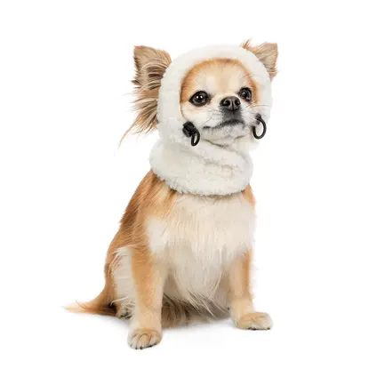 Шапка Pet Fashion Teddy для собак розмір XS: додаткове фото 2