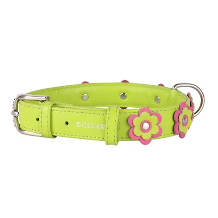 Нашийник "CoLLaR GLAMOUR" з оздобленням "Аплікація" (ширина 25мм, довжина 38-49см) салатовий