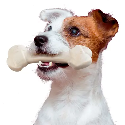 Ferplast GOODB NAT CHICKEN BONE L 140g Жувальна іграшка д/собак: додаткове фото 3