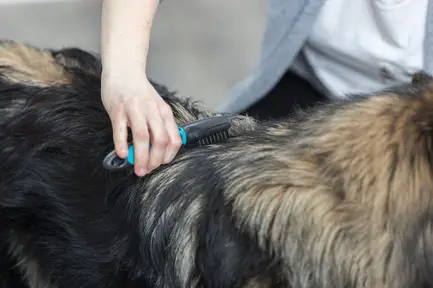 Ковтуноріз Trixie для собак, з короткими загнутими зубчиками, металевий з пластиковою ручкою, 18 см: додаткове фото 2