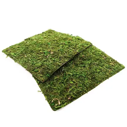 Фон моховий Repti-Zoo Natural Moss Back & Bottom 20x20см 2шт. (NCM2020): додаткове фото 5