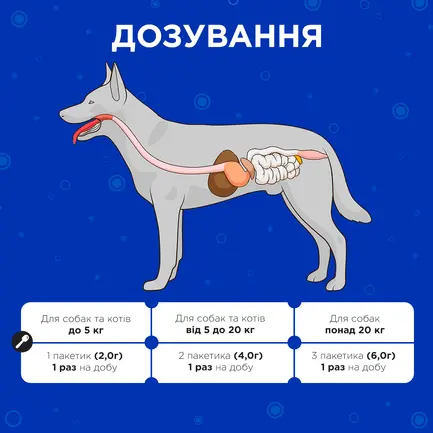 Комбіфлор пробіотик (Kombiflor Probiotic) порошок для підтримки балансу мікрофлори кишечника собак та котів MODES: додаткове фото 4