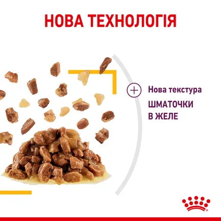 Вологий корм Royal Canin SENSORY TASTE JELLY для котів всіх порід 85 г: додаткове фото 2
