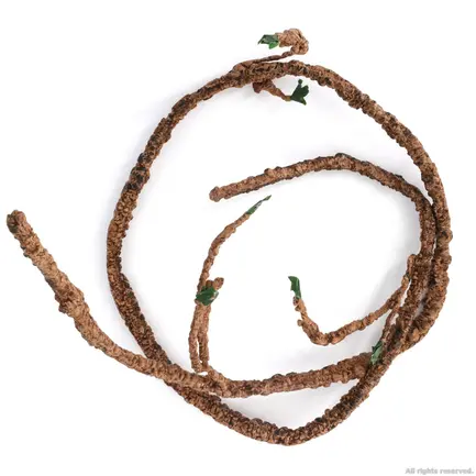 Ліана вигнута з листям Repti-Zoo Bend-A-Branch Vine 150см (RV0415): додаткове фото 2