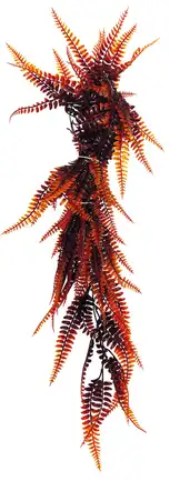 REPTO PLANT VINES ORANGE FERN 60 CM (R5100685) Штучна рослина для тераріума: додаткове фото 2