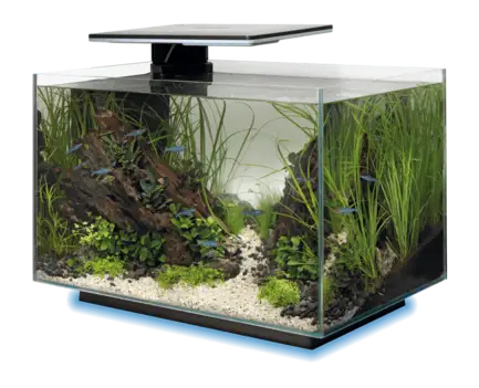 Акваріум скляний - Superfish Quadro 40 Multi Colour BLACK (A4052215): додаткове фото 3