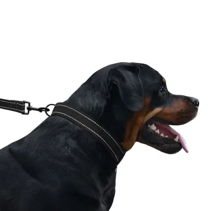 Повідець для Собак Bronzedog Active Нейлоновий зі Світловідбиттям Чорний XS: додаткове фото 7