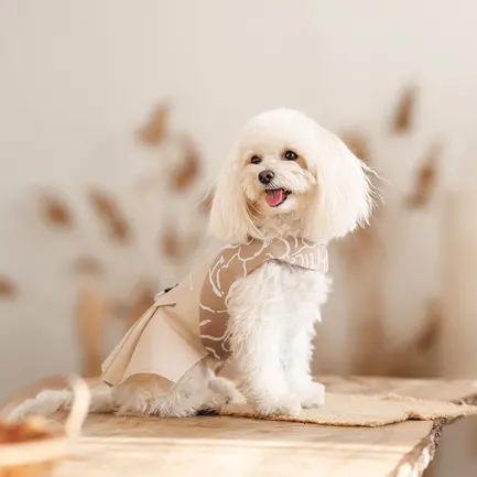 Сарафан Pet Fashion Lily для собак дівчинка бежевий S: додаткове фото 4