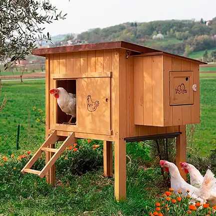 Ferplast CAGE HEN HOUSE 10 Будинок для курей, дерев'яний: додаткове фото 4