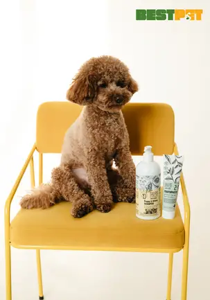 Tauro Pro Line Pure Nature Delicate Puppy & Kitten Shampoo М'який шампунь для цуценят і кошенят, 400 мл: додаткове фото 2