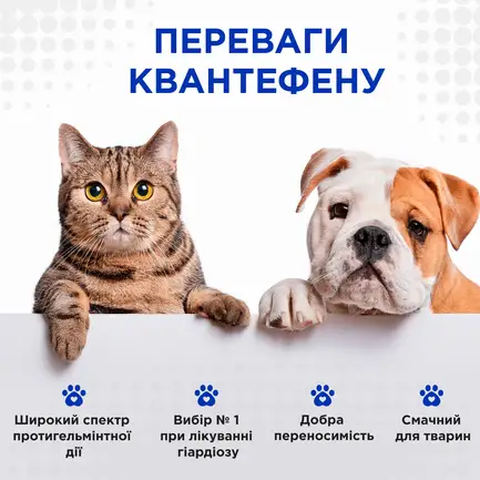 Квантефен (Kvantefen) антигельмінтні таблетки для котів та собак малих порід, 1 таб на 5 кг, MODES, ціна за 1 таблетку: додаткове фото 4