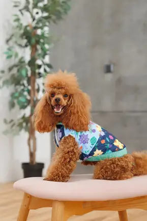 Жилет Pet Fashion Grass для собак розмір XS: додаткове фото 4