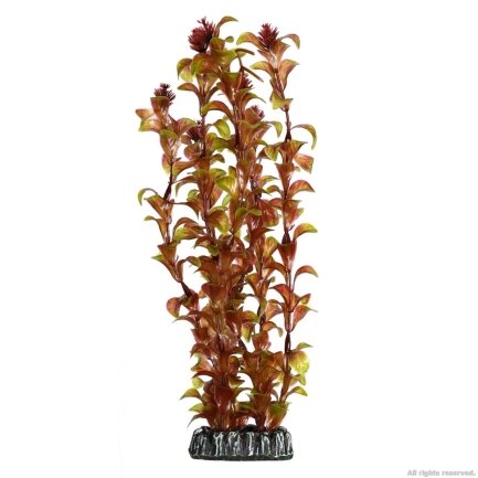 Штучна рослина Hobby Rotala 30см. (41518)