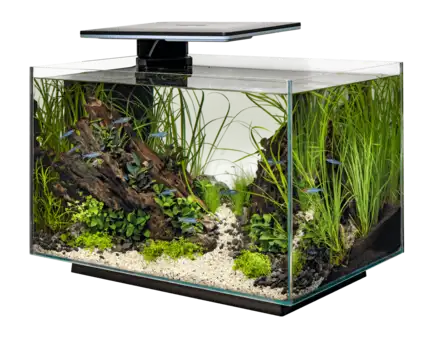 Акваріумний набір SuperFish Quadro 70 Pro Black (A4052225): додаткове фото 3