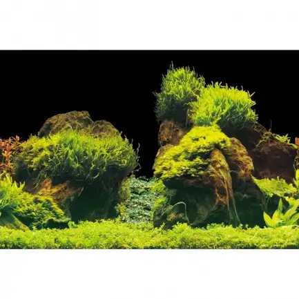 Акваріумний задній фон Aqua Nova Скелі/Рослини 60x30см (ROCK/PLANTS S): додаткове фото 3