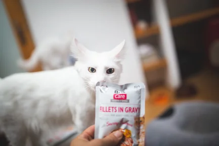 Вологий корм Brit Care Cat Pouch для котів, філе в соусі, пікантний лосось, 85 г: додаткове фото 3